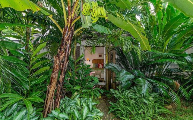 Almond Hill - Montego Bay 4BR