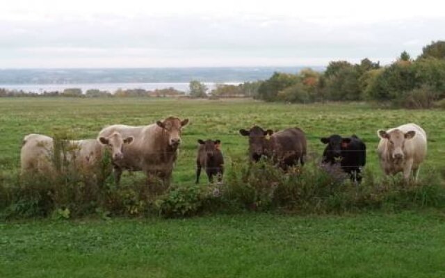 Cayuga Morning Star Bed and Breakfast