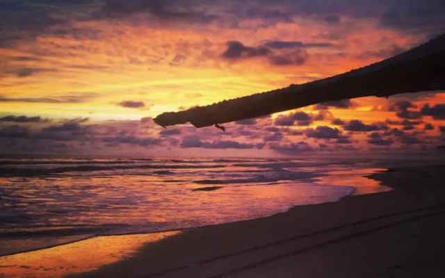Kame Surf Camp & School Sunset Beach Bar