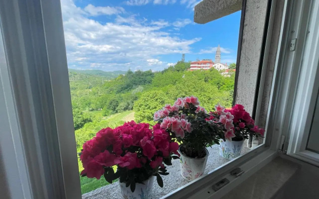 Apartment Kaštel