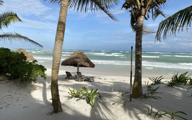 BT Live Tulum located at the party zone