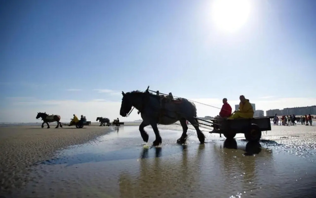 Studio in Nieuwpoort Near the Beach
