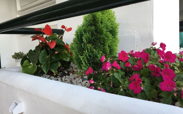 Mi Capricho Beachfront Apartment - Sitio de Calahonda