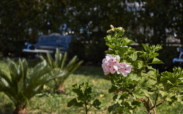 Il Giardino di Flora