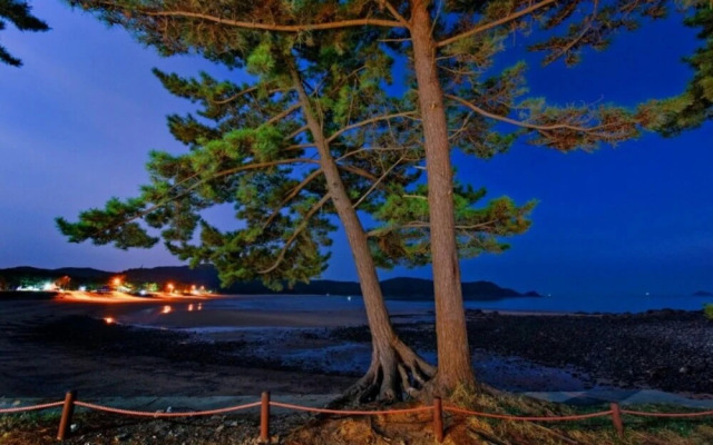 Taean Sea Travel Park