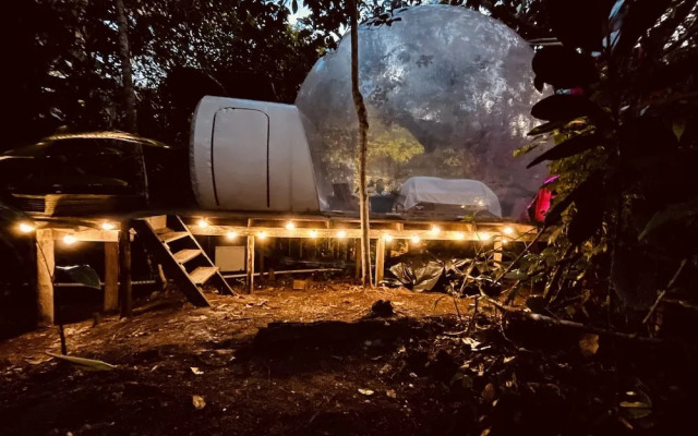 Glamping amazonas