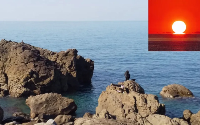 Guesthouse Cosmo - Hostel