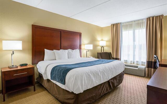 Comfort Inn Rocky Mount