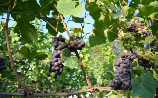 Seebrise mit Musik und Wein