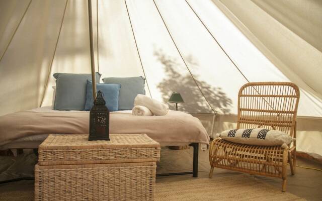 Wild In Style for Glamping