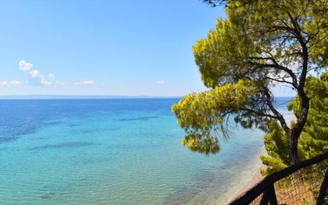 Squirrel Beach Front Villa, Metamorfosi