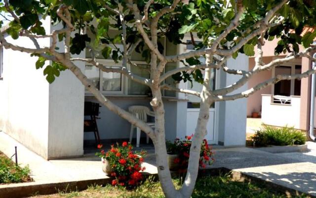 Apartments Branko