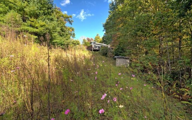 Wildflower Mountain Cottage - 3 Br Home