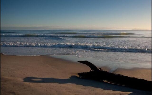 Waihi Beach Lodge