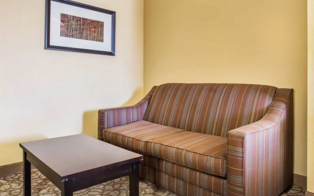 Comfort Inn & Suites at Stone Mountain