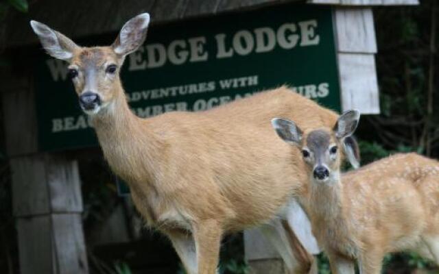 Wild Edge Lodge