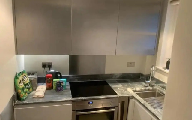 Private 1-bed Apartment in Central London