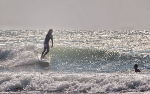 Sea Wolf Surf Club - Hostel