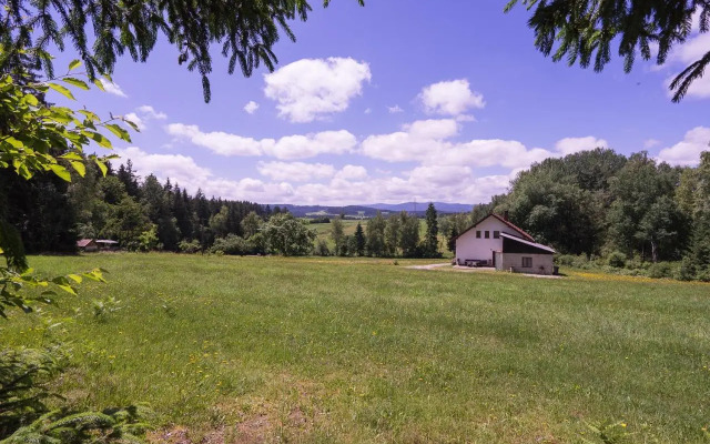 Baumzelt im Wald