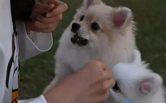 Wanda Plaza Rongjingwan Hotel (Wanda Metro Station Branch), Jinhua City