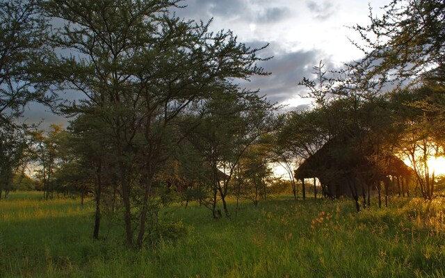 Whistling Thorn Tented Camp