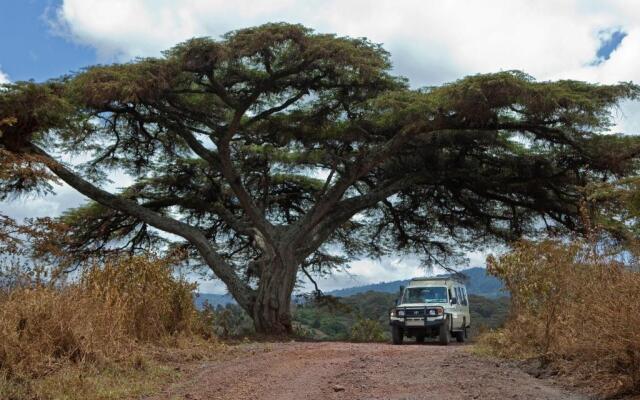 Neptune Ngorongoro Luxury Lodge