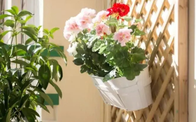 Flat 60m² 1 bedroom 1 bathroom - Athens