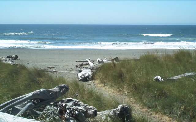 Inn of the Beachcomber