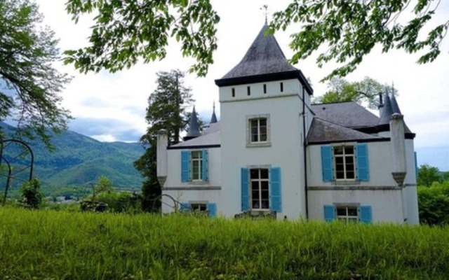 Chateau de Druon