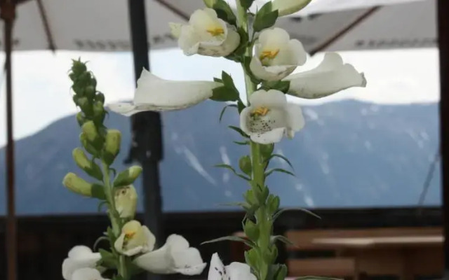 Naturfreundehaus Davos Clavadel