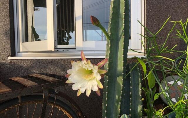 B&B Tandem