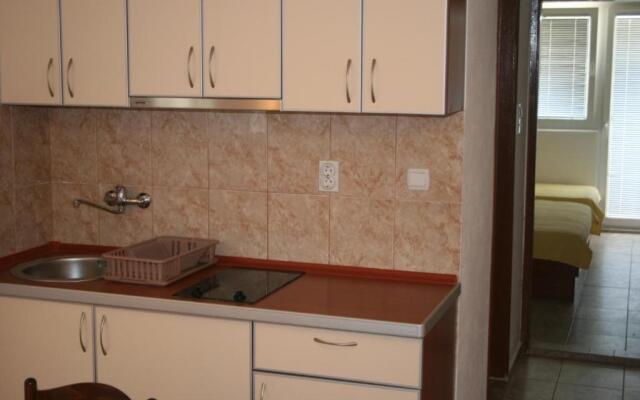 Apartment Knezevic