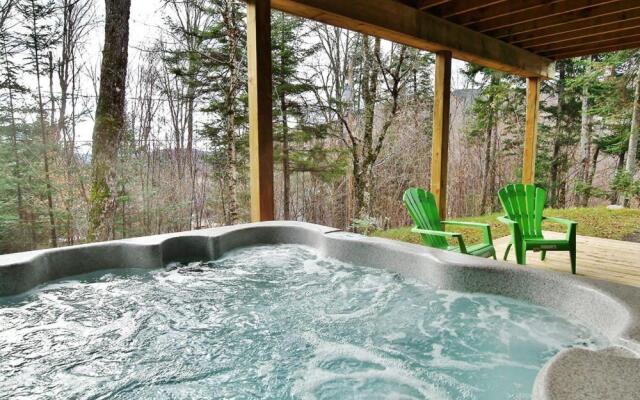 Chalets Alpins-43 Chemin des Skieurs