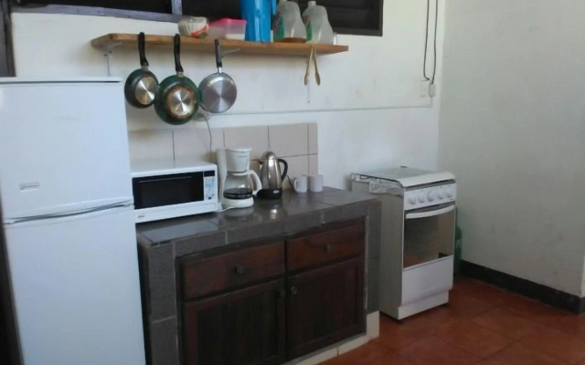 The Sleeping Dog Hostel