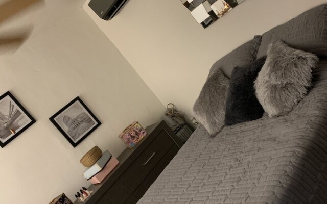 Cancún Plaza Hotel & Hostal