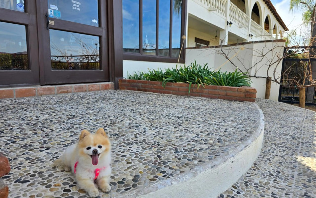 Hotel Hacienda Guadalupe