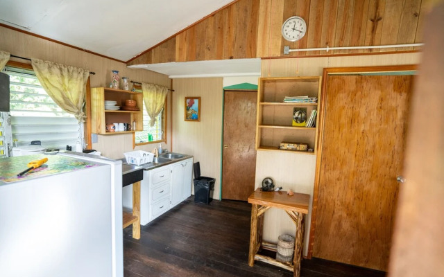 T.R.E.E.S Research Center and Eco Lodge