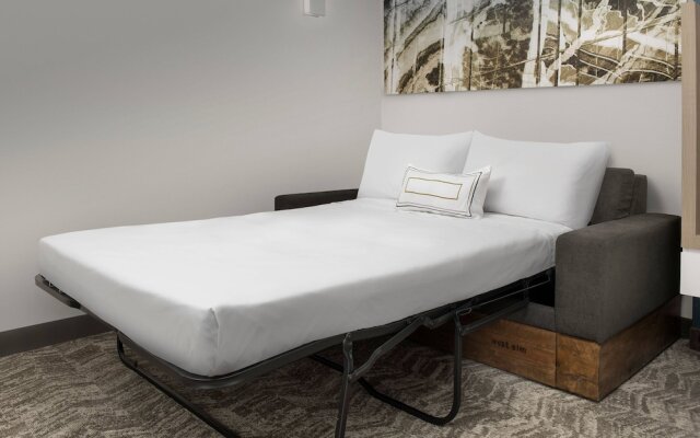 SpringHill Suites by Marriott Atlanta Perimeter Center