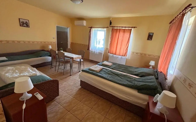 Bencsik Tanya Szentkirály - фото 3