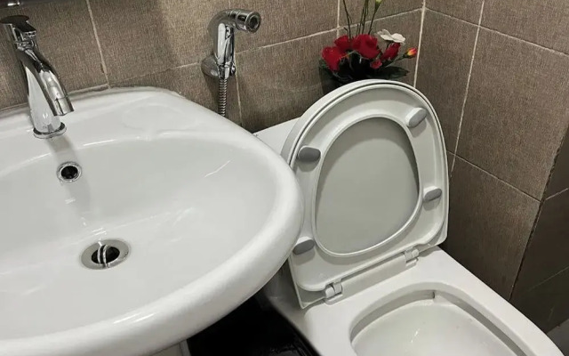 Krystalclaine Homestay-Burnham Hill Condo