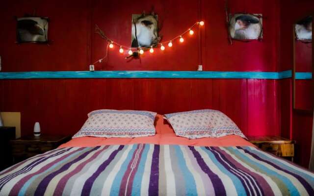 Casa Lili Backpackers