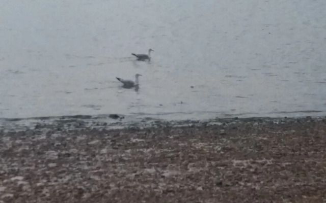 2013 Willerby Sunset Static Caravan Holiday Home