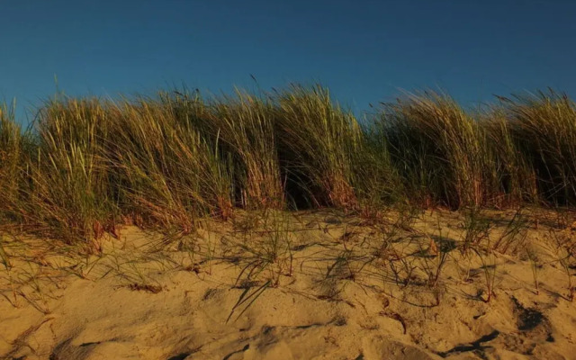 Strandgut Reethus Comfortable Holiday Residence