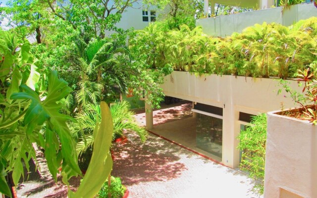 Bosque De Los Aluxes Tropical By Playa Paradise