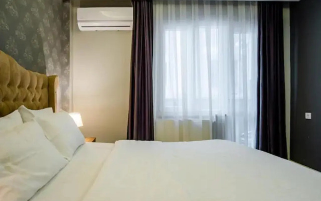 First flr 2bdr Modern New Apt in Center