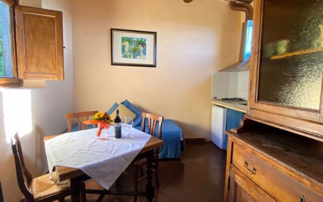 Villa Grassina 33464