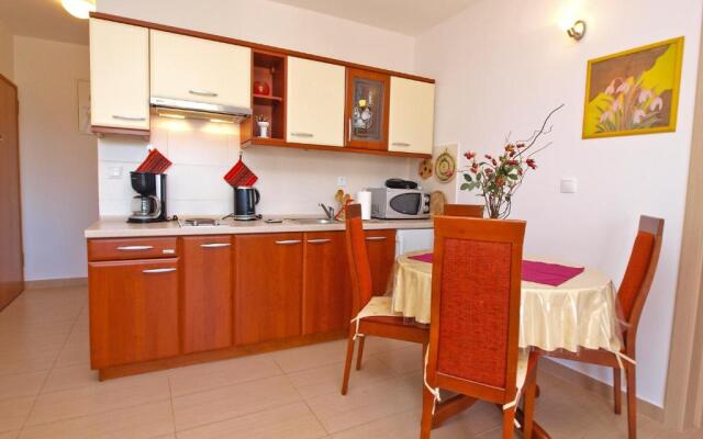 Apartments Vladimira 1367