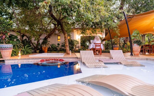 Shongwe Oasis