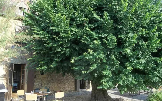 chez ilse domaine de la mothe