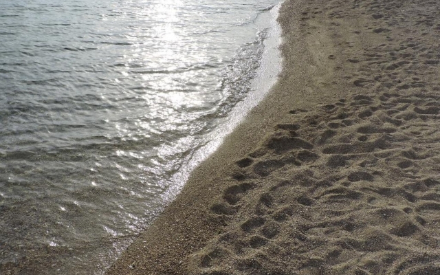 Holiday house Pet - 20m from the sea: Barbat, Island Rab